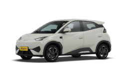 BYD Seagull 2025 Smart Driving 305 Vitality Edition
