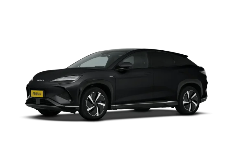 إصدار القيادة الذكية من طراز SeaLion07EV 2025 610