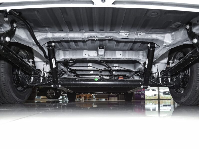 DANA V1 2025 Long-Wheelbase High-Roof Cargo