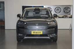 Denza N9 DM 2025 DM Prestige
