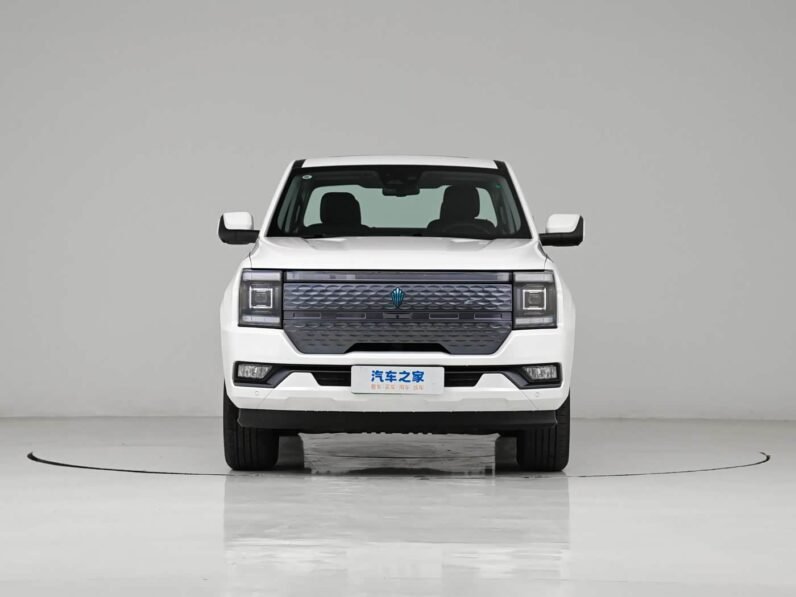JMC Dadao EV 2024 Comfort Edition Standard Range 370KM