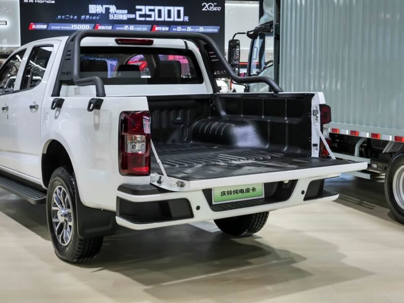 Qingling lsuzu TAGA pure electric 2025