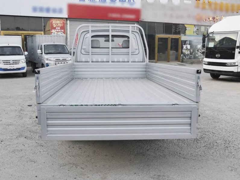 Rich New Energy EC71L 2024 Cargo Pioneer 41.85kWh.