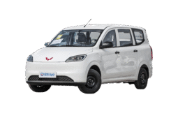 Wuling Hongguang EV 2024