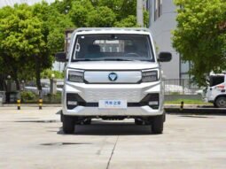 Foton Xiangling V5 EV 2025 Flatbed Model