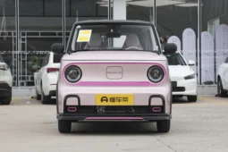 Geely Panda 2025 210km Panda Knight