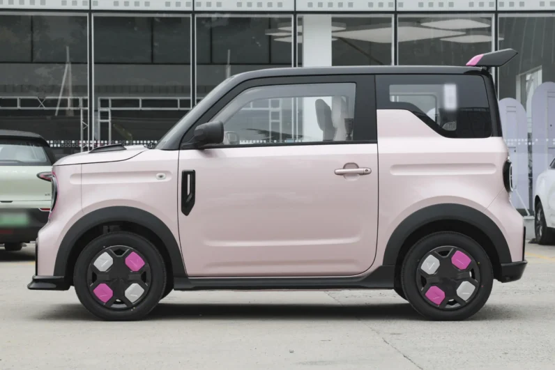 Geely Panda 2025 210km Panda Mini Zestful Bear