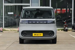 DANA M1 2025 Long Wheelbase Commercial 9-Seater (64kWh)