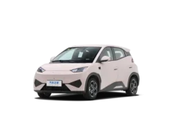 BYD Seagull 2025 Smart Driving 305km Vitality Edition