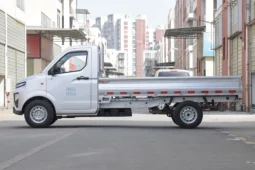 2025 Farizon Xingxiang F1E