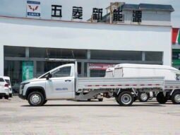 LINXYS Golden Card Pure Electric Flatbed 310km 2025