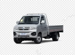 Ruichi New Energy ED71 2024 Refrigerated Pioneer I