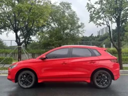 BYD e2 2020 UPGRADED LONG RANGE LUXURY