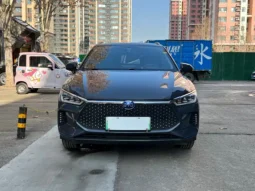 BYD e2 2020 UPGRADED LONG RANGE LUXURY