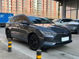 BYD e2 2020 UPGRADED LONG RANGE LUXURY