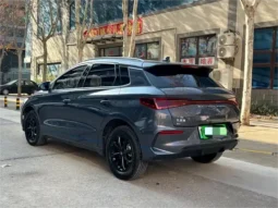 BYD e2 2020 UPGRADED LONG RANGE LUXURY