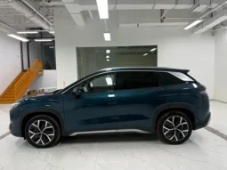 BYD SONG L DM-i 2024 1.5L 160KM EXCELLENCE